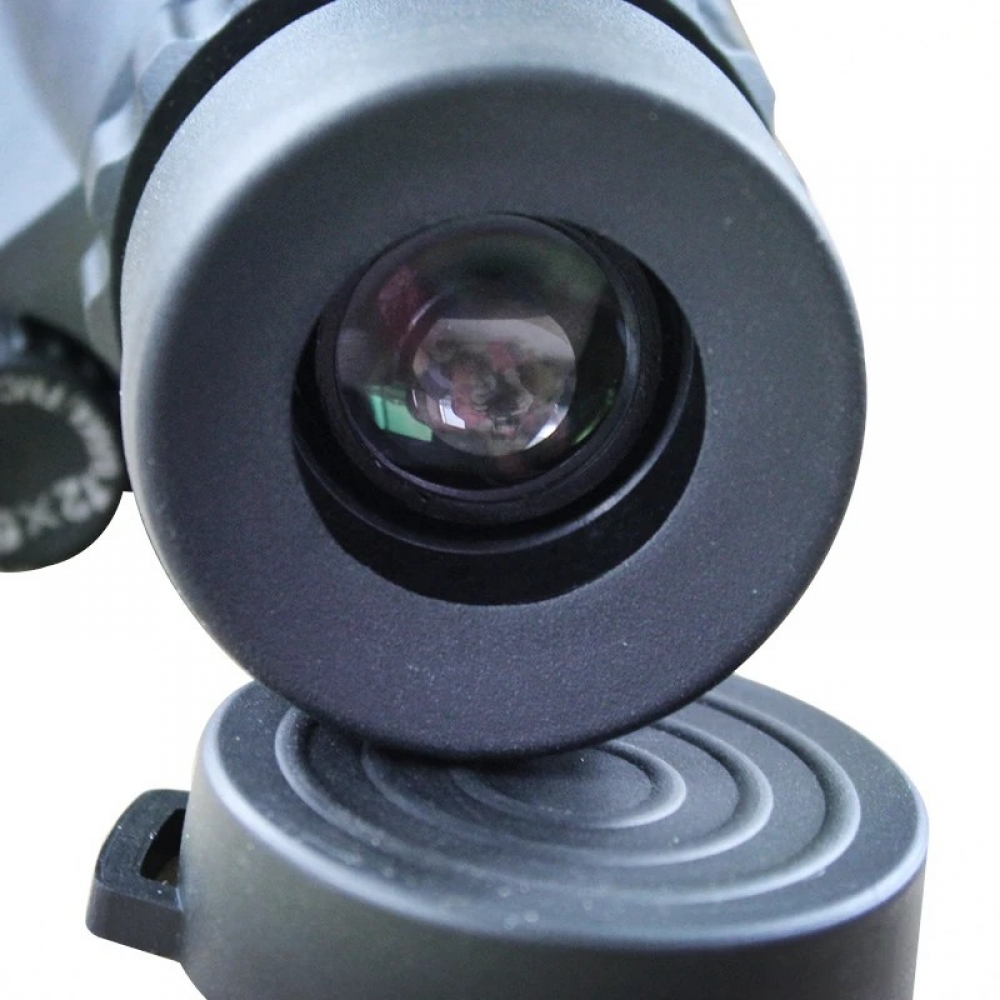  - BBC-1188127 - bargainbasement.club