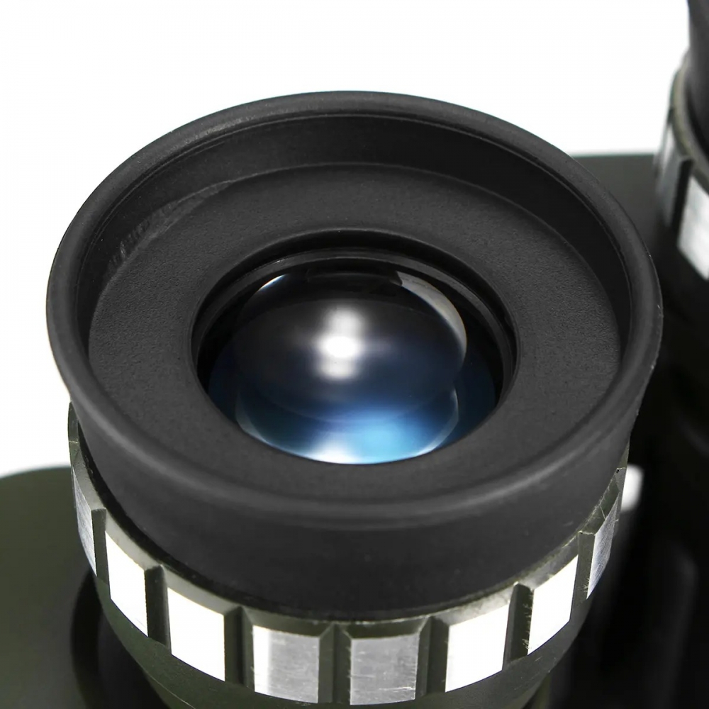  - BBC-1198888 - bargainbasement.club