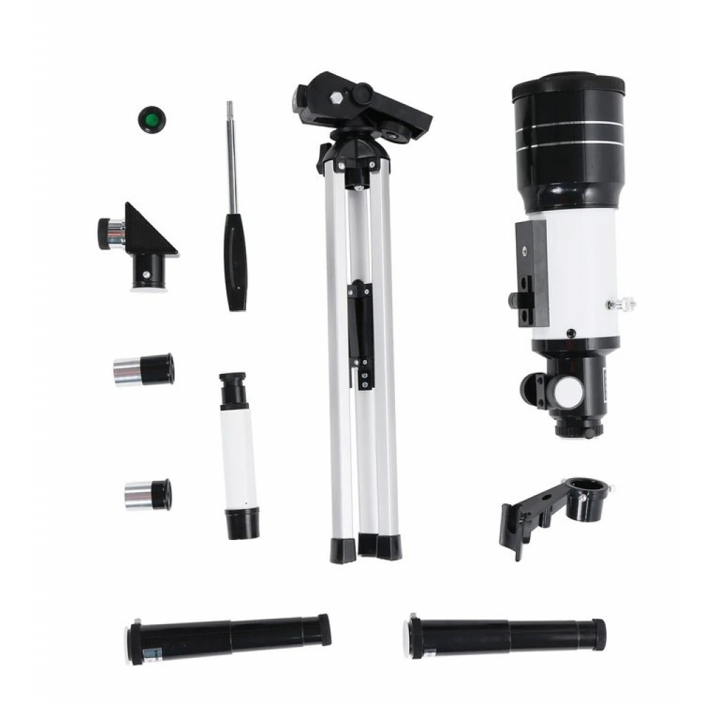  - BBC-1213190 - bargainbasement.club