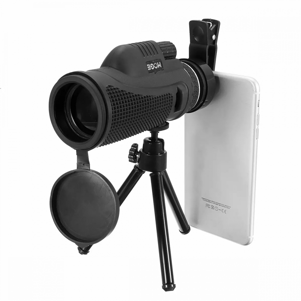  - BBC-1246235 - bargainbasement.club