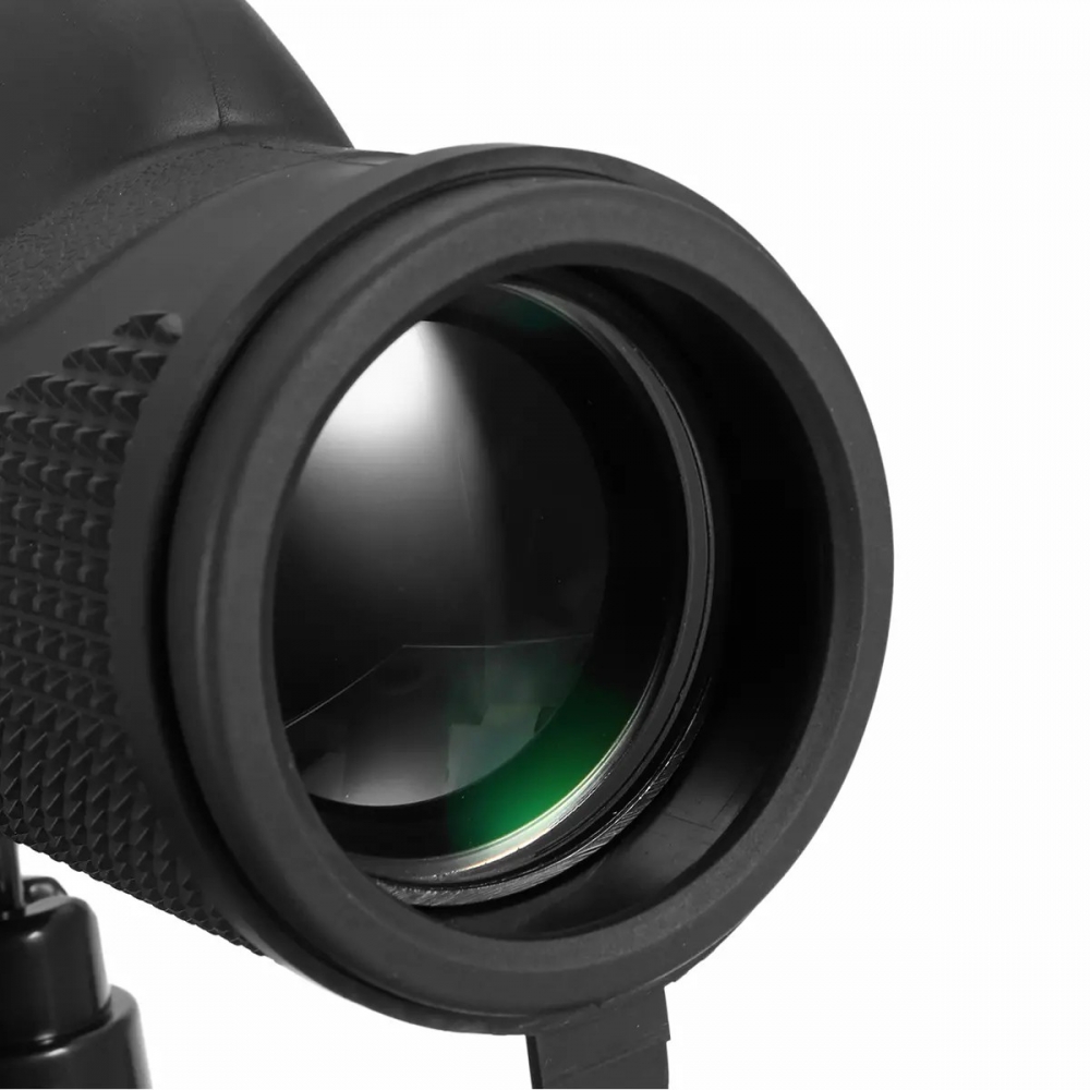  - BBC-1246235 - bargainbasement.club