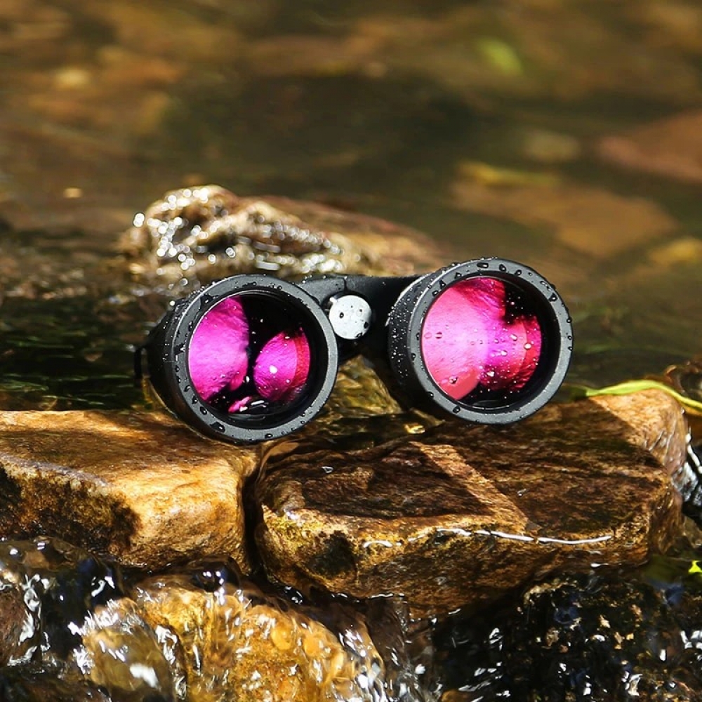  - BBC-1379614 - bargainbasement.club