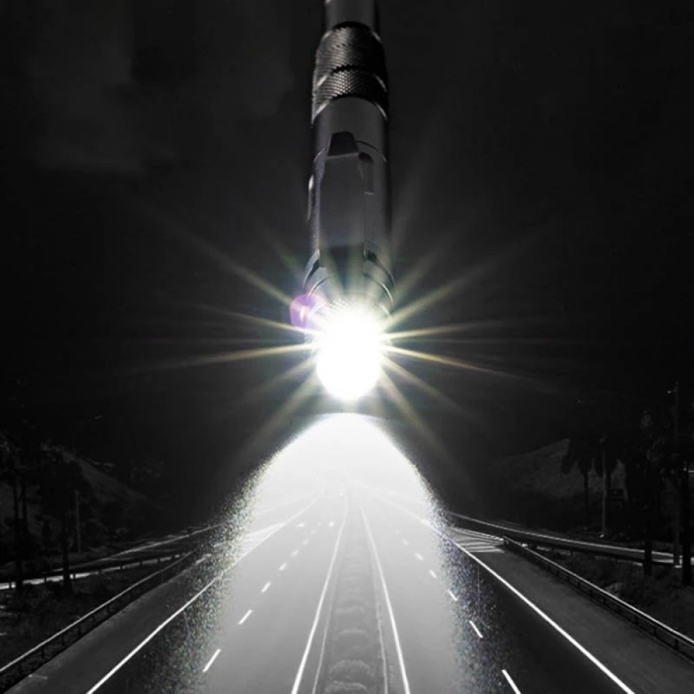  - BBC-1536482 - bargainbasement.club