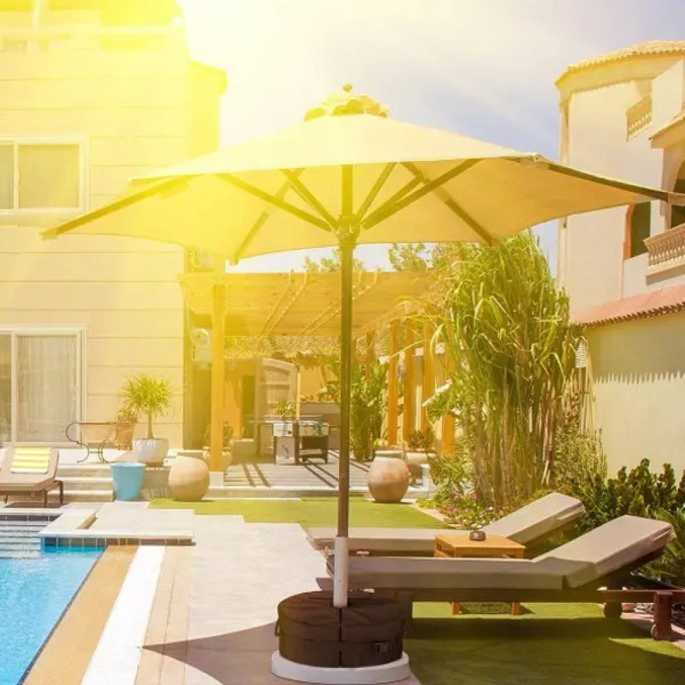  - BBC-1537278 - bargainbasement.club