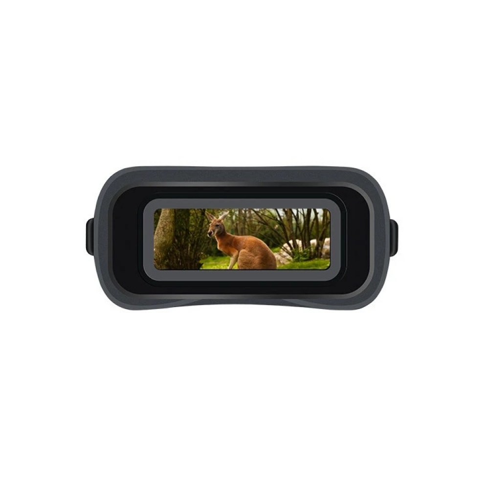  - BBC-1552532 - bargainbasement.club