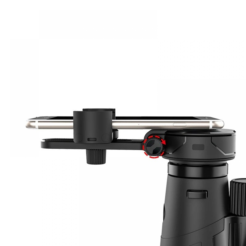  - BBC-1631037 - bargainbasement.club