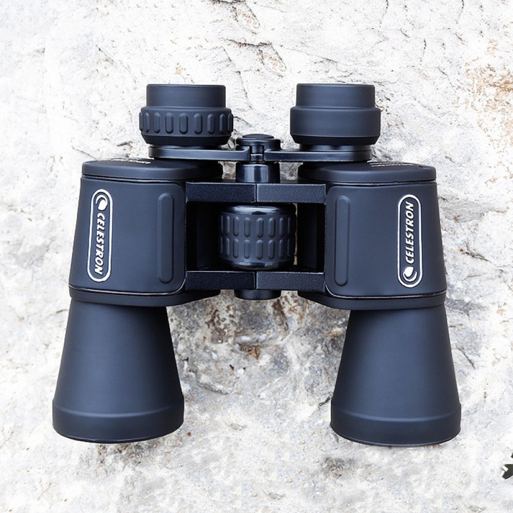  - BBC-1653957 - bargainbasement.club