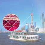 CELESTRON G2 20x50 HD BK7 Prism Binocular Multi-Coated Profession Telescope Camping Travel Bird Watching Night Vision