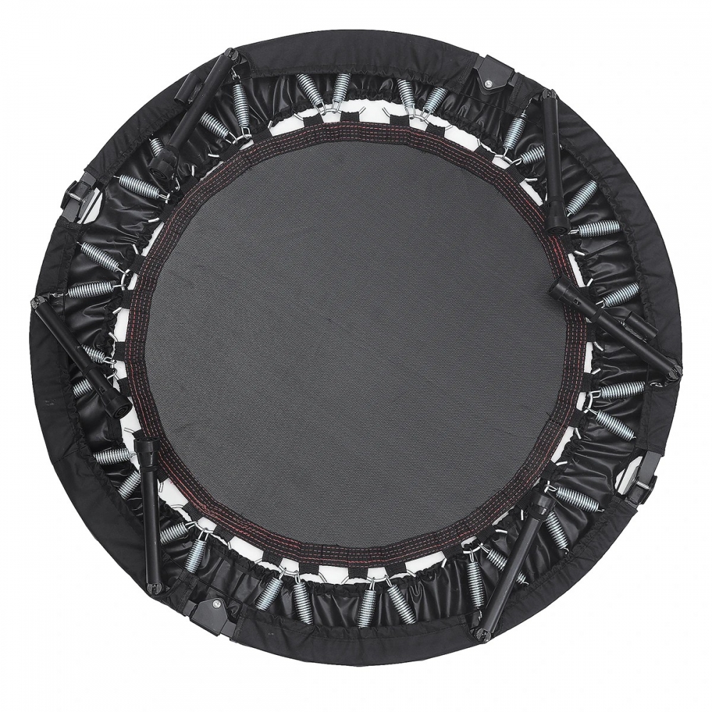  - BBC-1711830 - bargainbasement.club