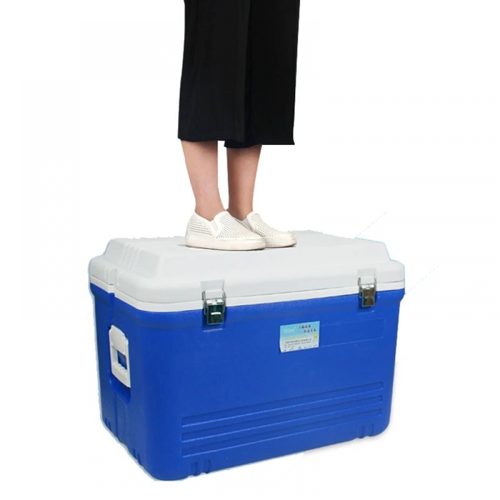  - BBC-1732988 - bargainbasement.club