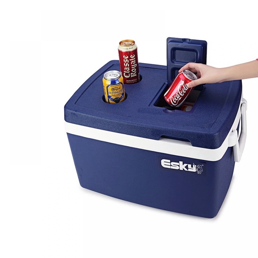  - BBC-1737923 - bargainbasement.club