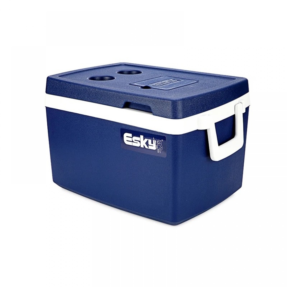  - BBC-1737923 - bargainbasement.club