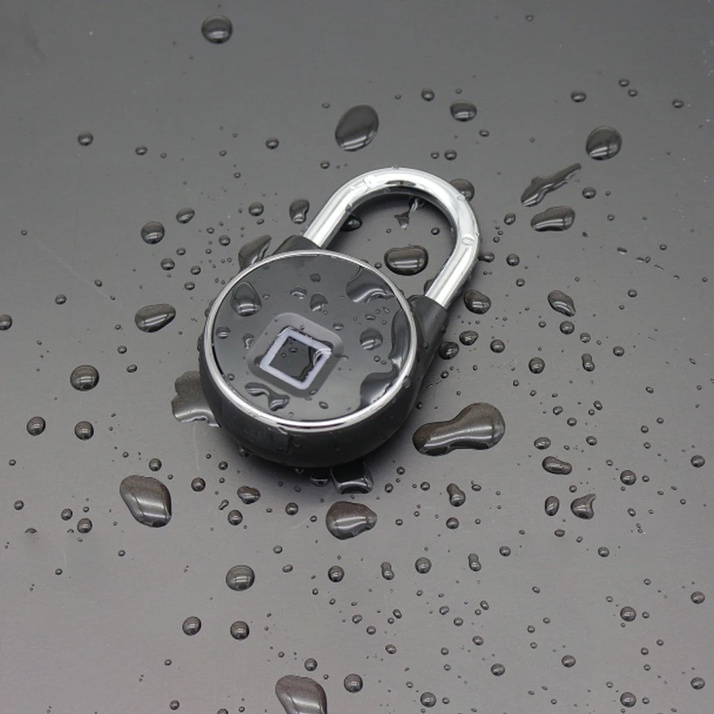  - BBC-1743306 - bargainbasement.club