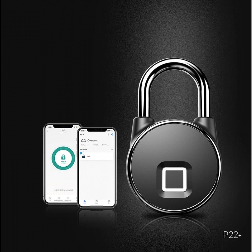  - BBC-1743306 - bargainbasement.club