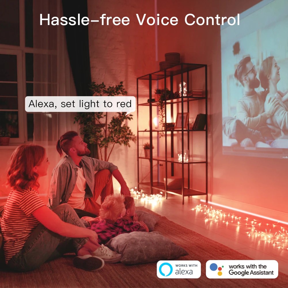  - BBC-1824646 - bargainbasement.club