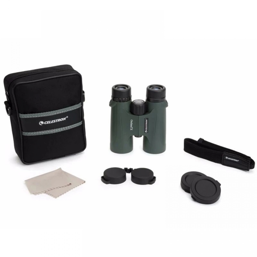  - BBC-1826723 - bargainbasement.club