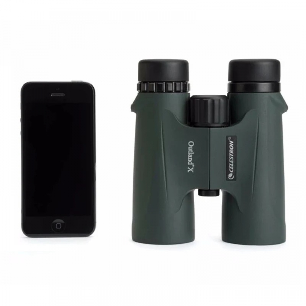  - BBC-1826723 - bargainbasement.club