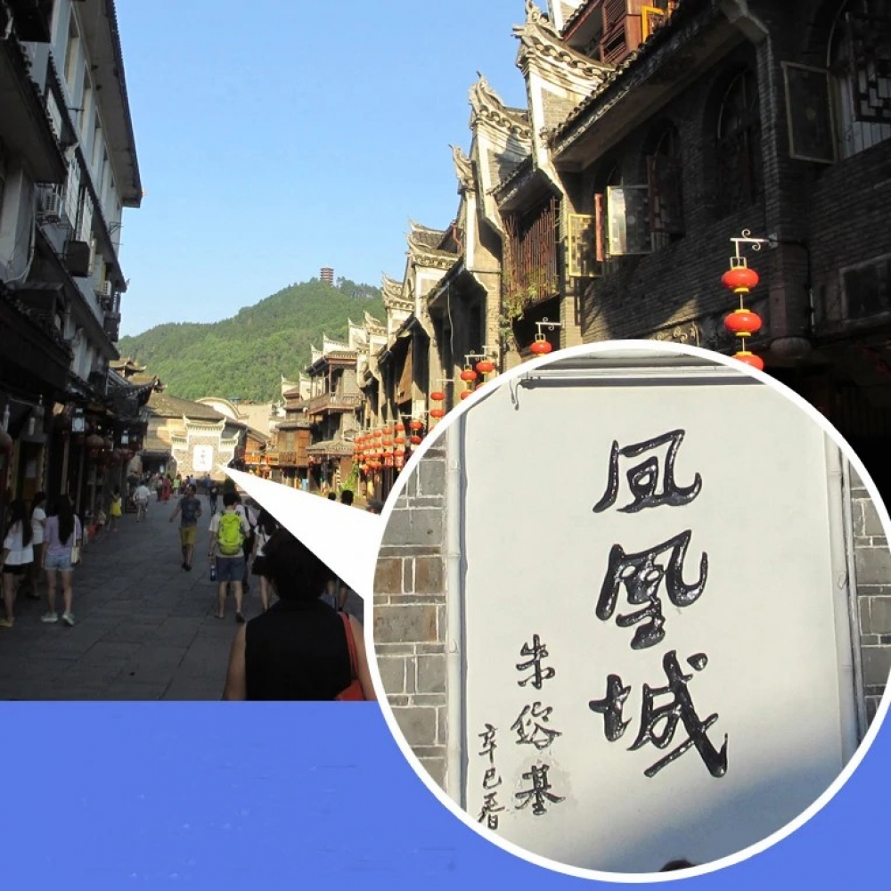  - BBC-1826723 - bargainbasement.club