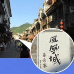 CELESTRON Outland X 10x42 Binocular Nitrogen-filled Waterproof Anti-fog Telescope Night Vision Portable Viewing Binoculars