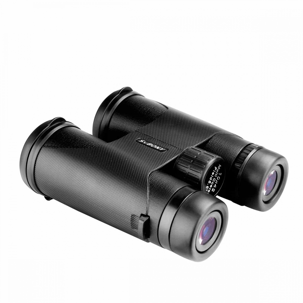  - BBC-1856265 - bargainbasement.club