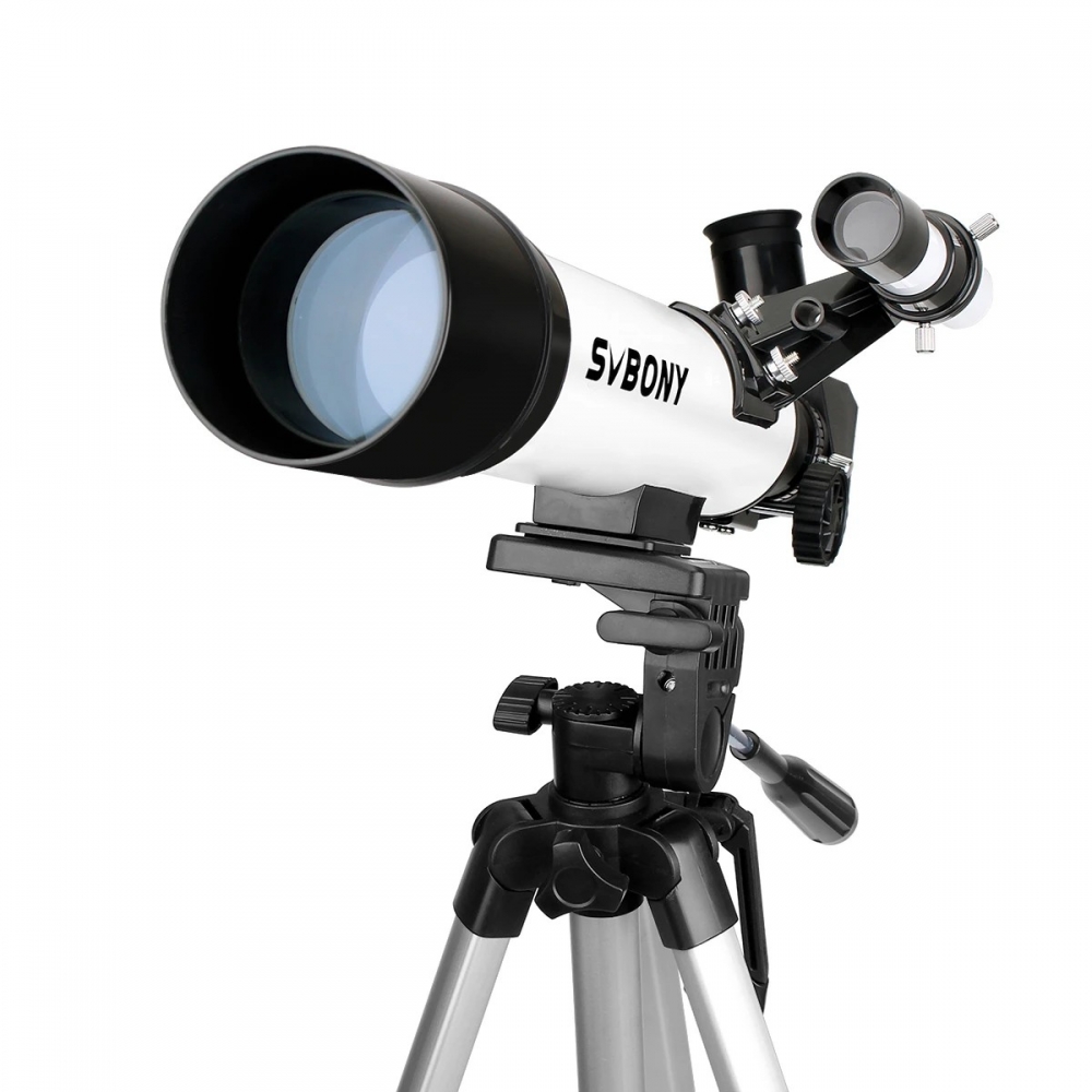  - BBC-1858321 - bargainbasement.club