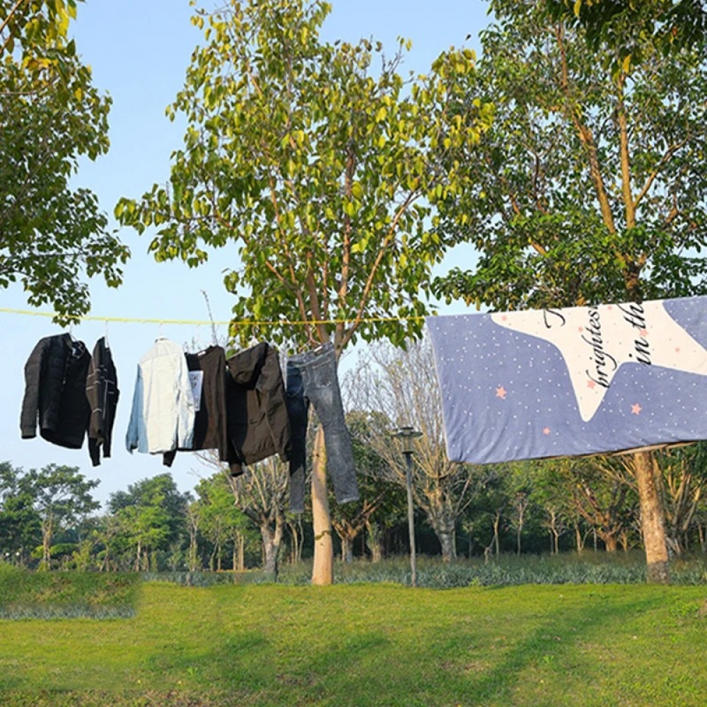  - BBC-1884360 - bargainbasement.club