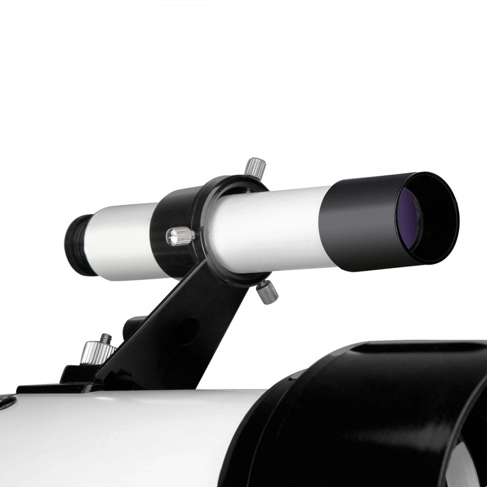  - BBC-1916846 - bargainbasement.club