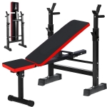 Adjustable Dumbbell Weight Bench Body Workout Folding Gym Strength Training Equipment