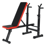 Adjustable Dumbbell Weight Bench Body Workout Folding Gym Strength Training Equipment