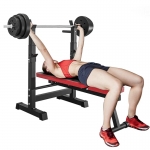 Adjustable Dumbbell Weight Bench Body Workout Folding Gym Strength Training Equipment