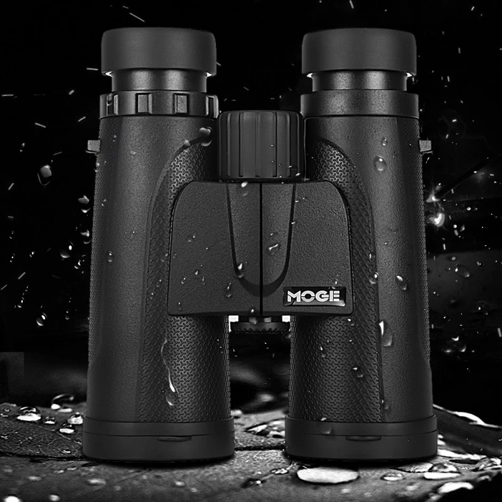  - BBC-1926900 - bargainbasement.club