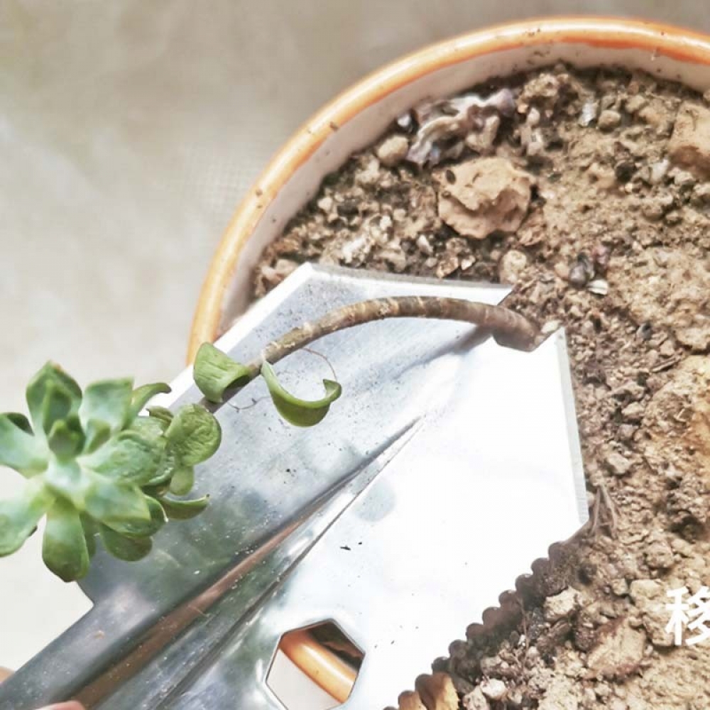  - BBC-1929298 - bargainbasement.club