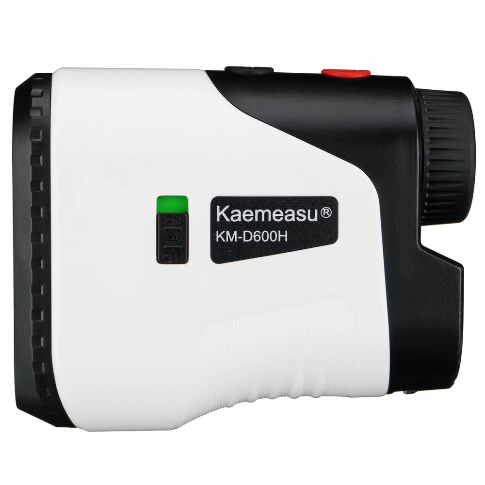  - BBC-1955851 - bargainbasement.club