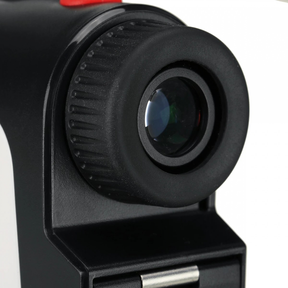  - BBC-1955851 - bargainbasement.club