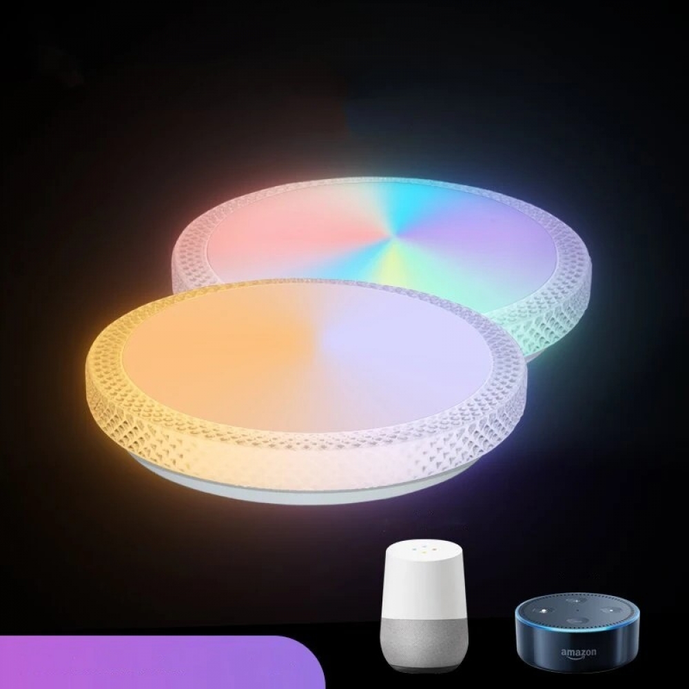  - BBC-1986261 - bargainbasement.club