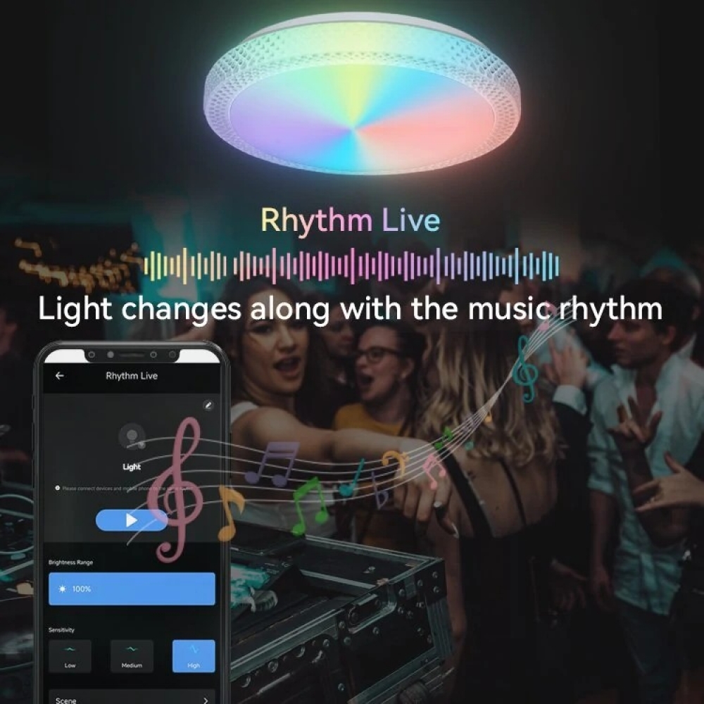  - BBC-1986261 - bargainbasement.club