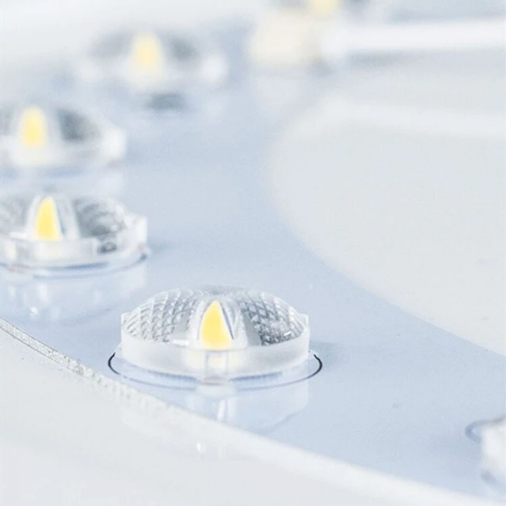  - BBC-1986261 - bargainbasement.club