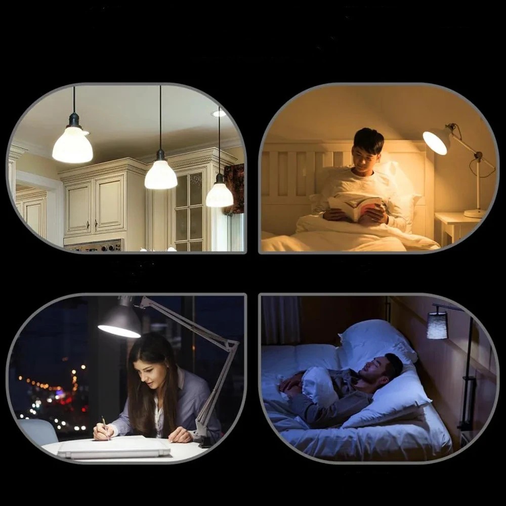  - BBC-1995931 - bargainbasement.club