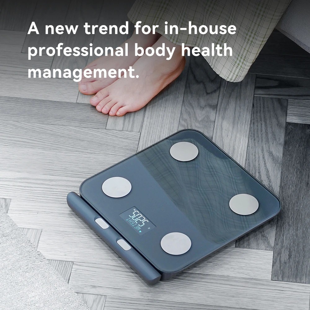  - BBC-2013009 - bargainbasement.club