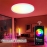 30W Smart LED Ceiling Light Dimmable Ceiling Light Fixture 2700K~6500K, RGB Ambient Light Work with Alexa Google Home for Bedroom Living Room