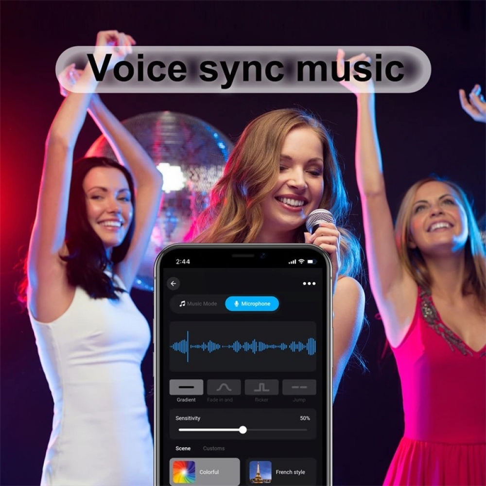  - BBC-2016798 - bargainbasement.club