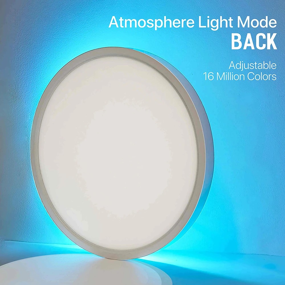  - BBC-2025747 - bargainbasement.club