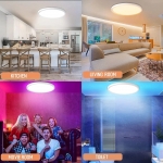 36W 40cm Smart LED Ceiling Light Dimmable 2700K~6500K With RGB Ambient Light Works with Alexa Google Home for Bedroom Living Room