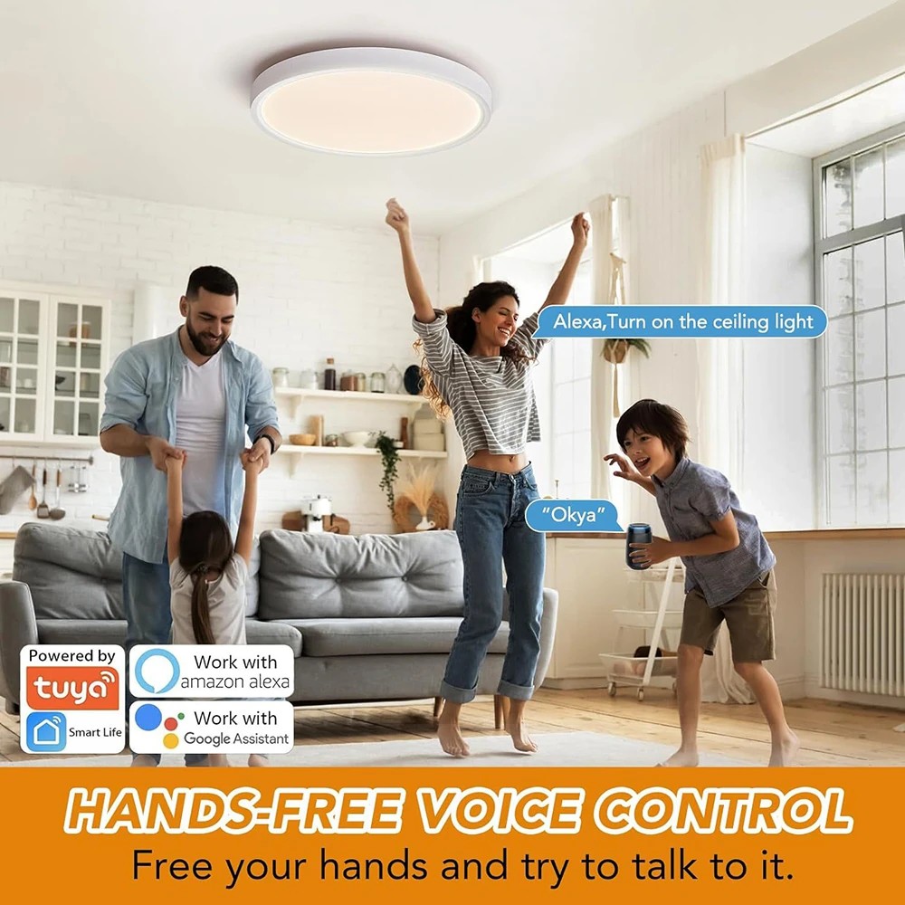  - BBC-2025755 - bargainbasement.club