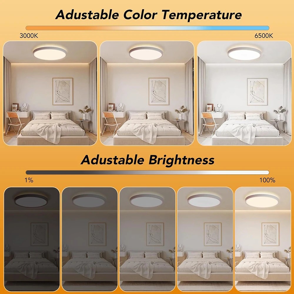  - BBC-2025755 - bargainbasement.club