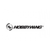 Hobbywing